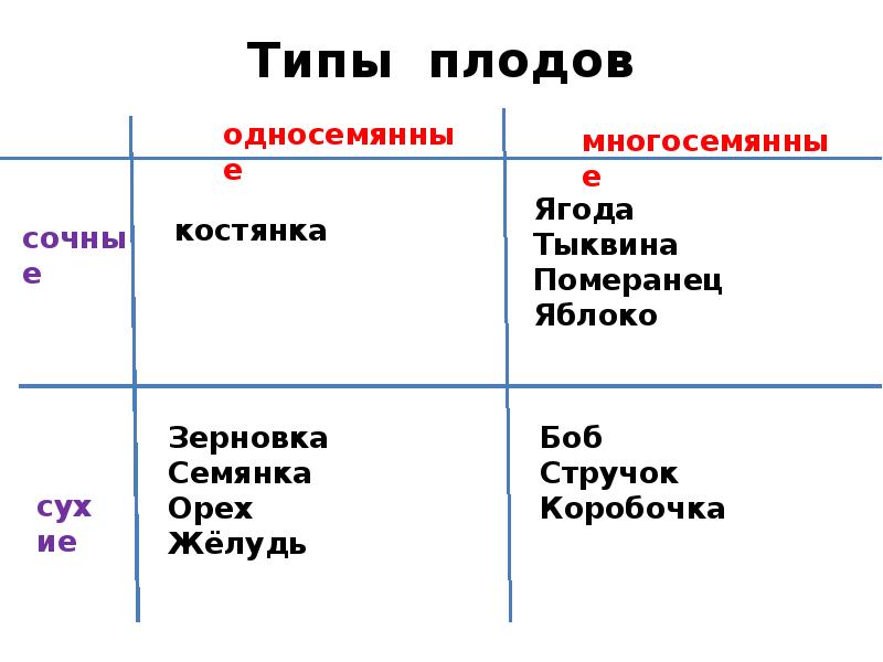 Типы плодов Типы плодов