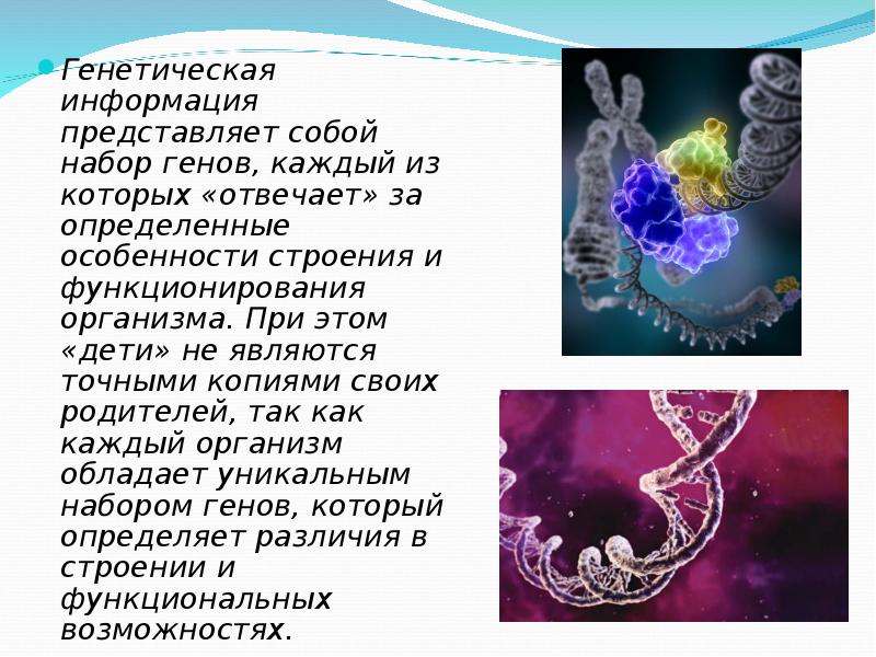 Сообщение представляет собой. Наследственная информация. что представляет собой информация. генетическая информация. генетическая информация человека.
