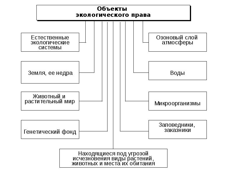 Заполнить схему объекты таблицы. Схема виды объектов экологического права. Структура экологического права схема. Система экологического права схема. Классификация объектов экологического права.