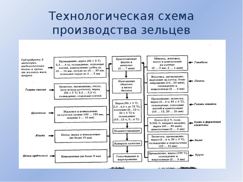 Технологическая схема производства зельцев