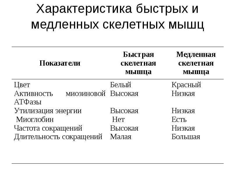 Характеристика быстро. Характеристика быстрых и медленных скелетных мышц. Специализация мышц биохимия. Биохимические изменения в скелетных мышцах при мышечной работе. Карта быстрых и медленных скелетных мышц.