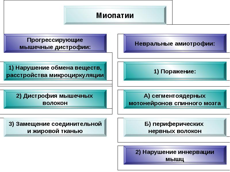 Прогрессирующие мышечные дистрофии презентация