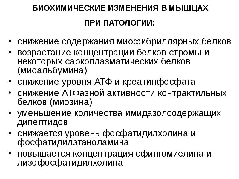 Изменение биохимического. Метаболизм миокарда и изменения в мышцах при патологии. Биохимические изменения в мышцах при патологии. Биохимия мышечной ткани биохимия. Биохимические процессы, происходящие в мышцах.