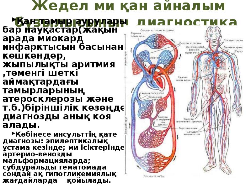 Кіші қан айналым шеңбері. Ми қанайналым бұзылыстары ".