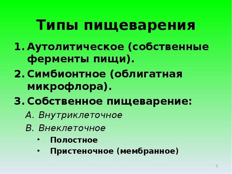 Типы пищеварения