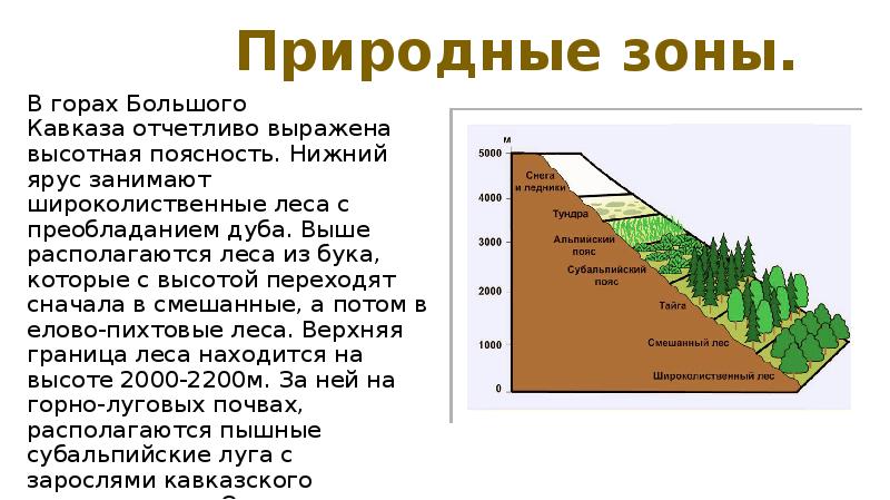 Природные зоны кавказских гор таблица. Природные зоны на Урале ВЫСОТНОЙ поясности. Высотная поясность названия поясов. Субтропики Высотная поясность в горах 8. Крымские горы Высотная поясность.