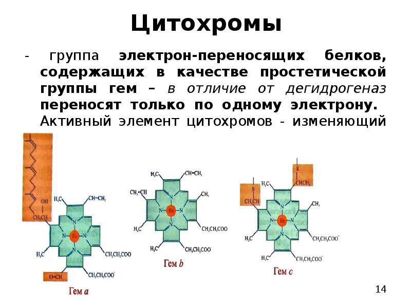 Цитохромоксидаза схема строения