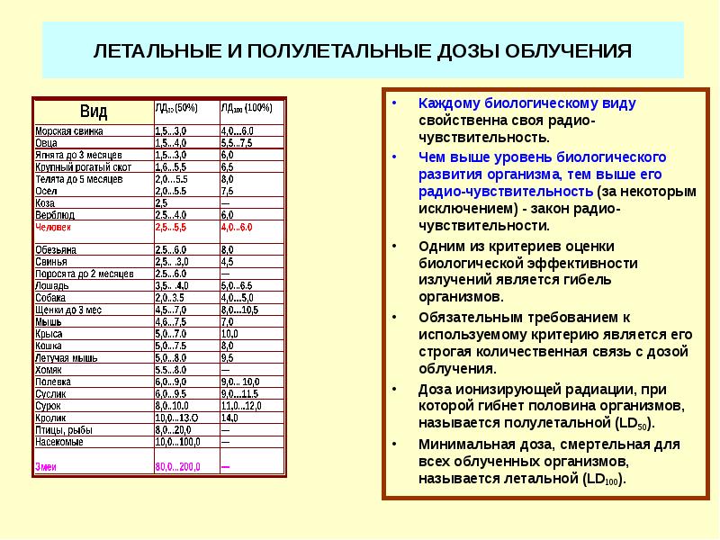 Биологические эффекты малых доз облучения презентация