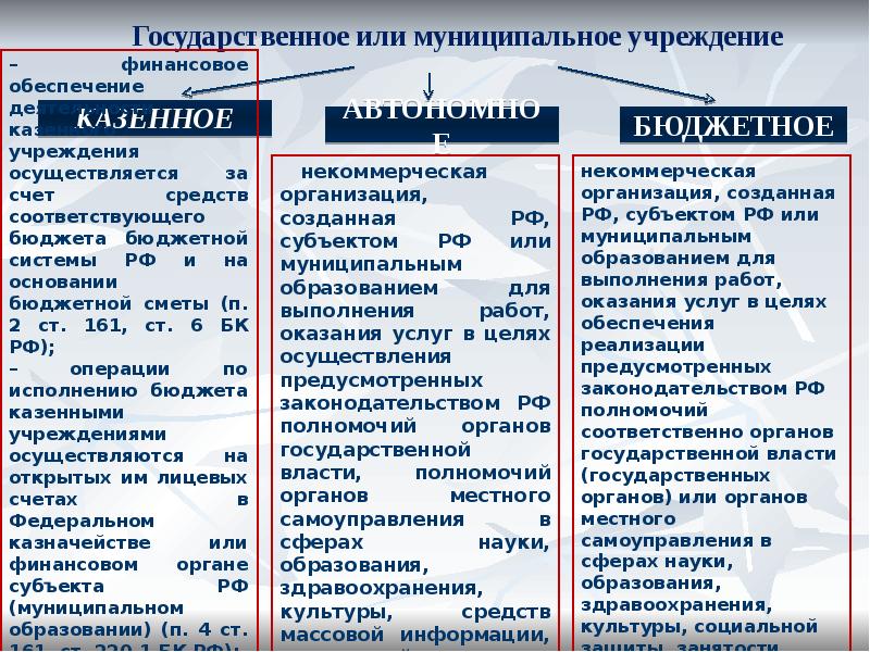 Государственное или муниципальное учреждение Государственное или муниципальное учреждение