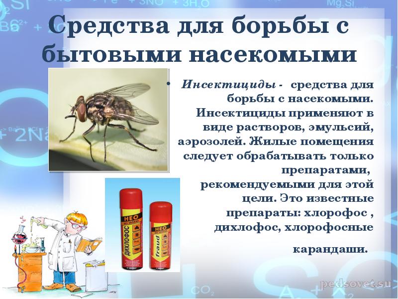 Инсектициды список препаратов. Средства для борьбы с бытовыми насекомыми. Химические средства борьбы с насекомыми. Химические методы борьбы с насекомыми. Для борьбы с насекомыми применяют.