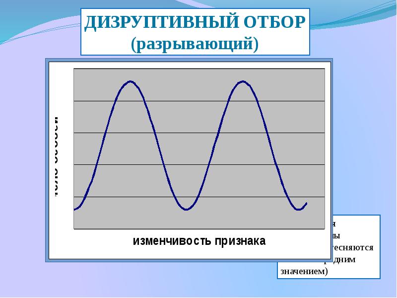 Фото дизруптивный отбор