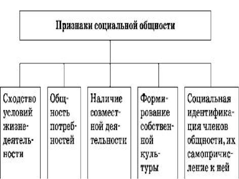 Примеры групп и общностей. Признаки социальной общности. Социальные общности примеры. Виды социальных общностей. Функции социальных общностей.