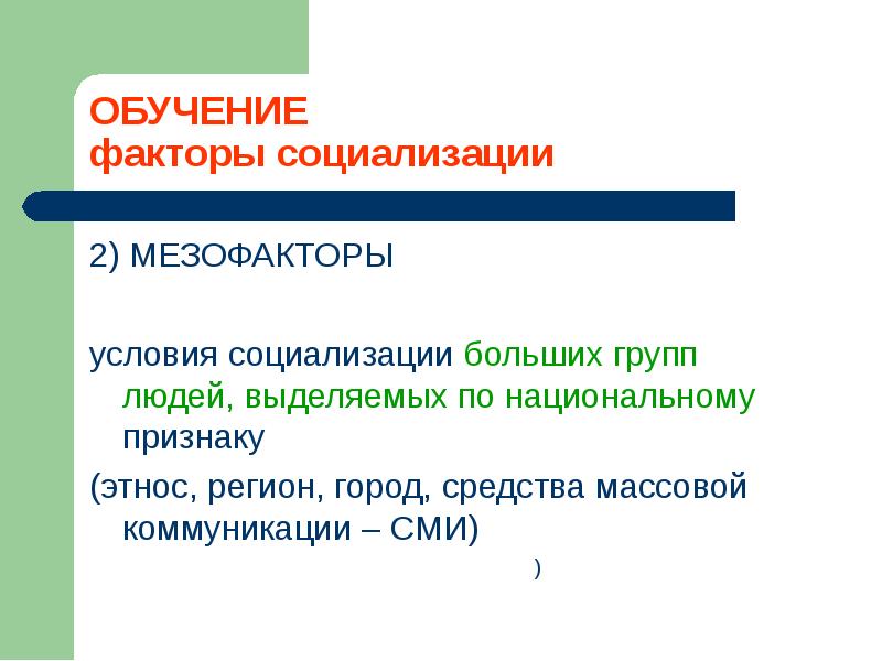 Мезофакторы социализации личности презентация