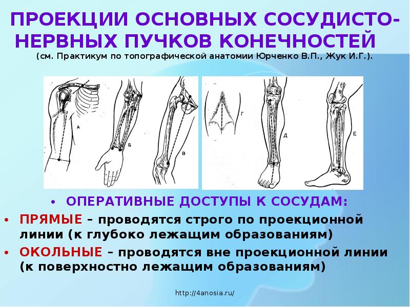 Основная проекция