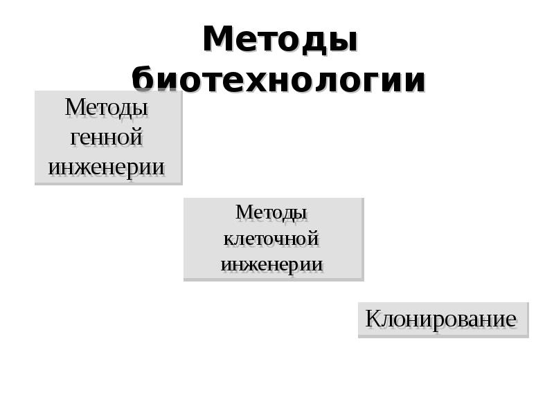 Методы биотехнологии