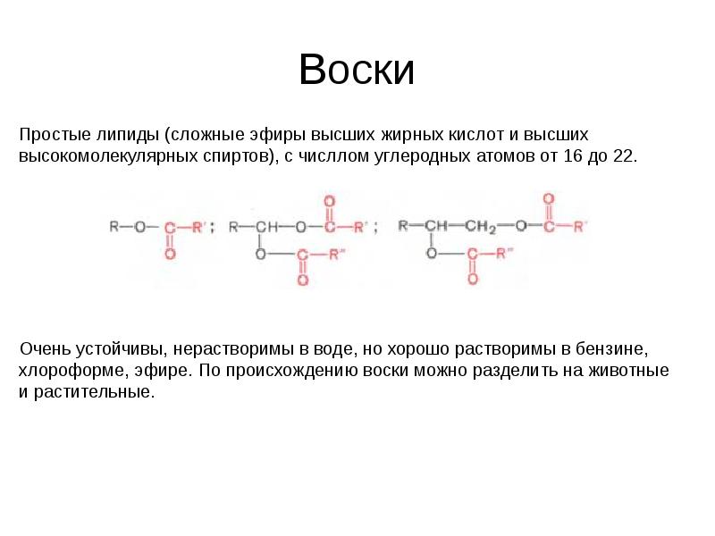 Воски сложные эфиры. Химическая структура липидов. Химическая структура восков. Воск строение молекулы. Строение воска химия.