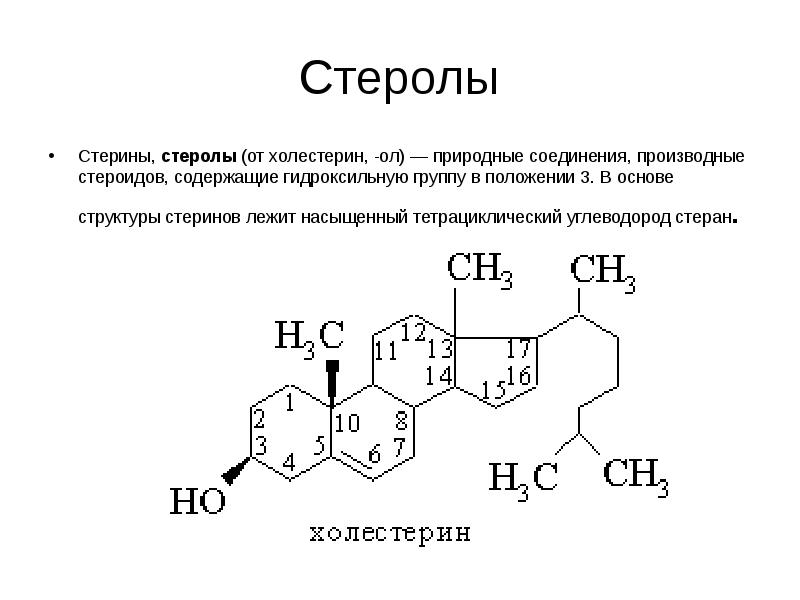 Строение основа