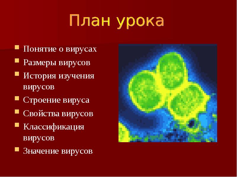 Наука изучающая вирусы. Понятие о вирусах. Строение вирусов изучается методом. Царство вирусы строение. Презентации об истории изучения вирусов.