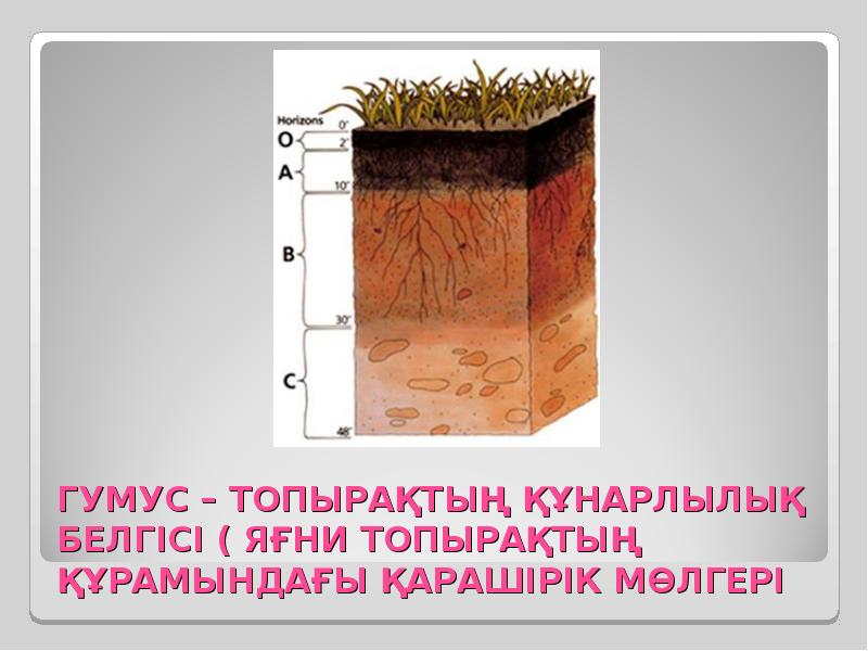 Презентация на тему гумус