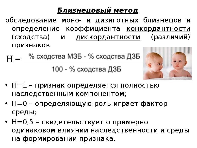 Близнецовый метод генетики картинки