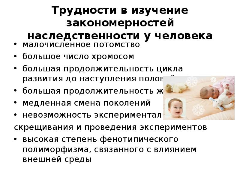 Исследование наследственности