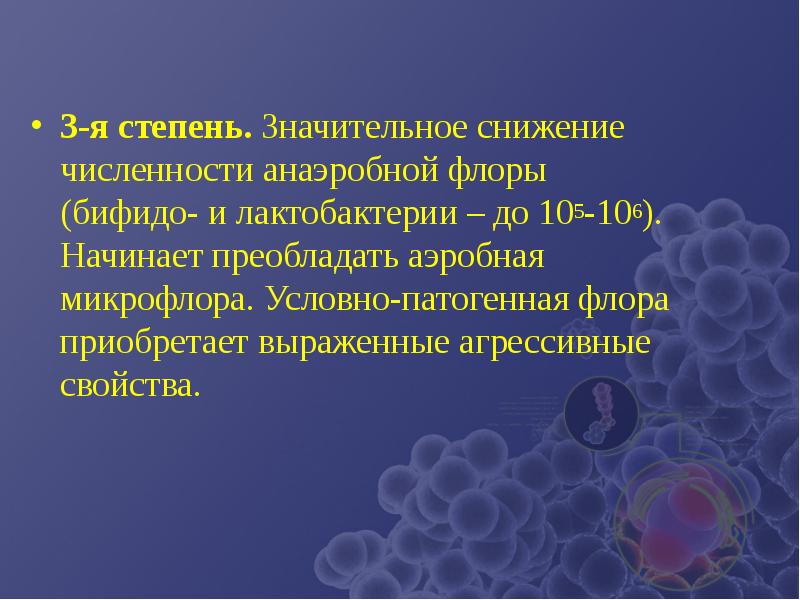 Микрофлора лактобактерии. Условно-патогенная микробиота. Анаэробная патогенная микрофлора. Аэробные бактерии микрофлоры. Патогенная Флора.