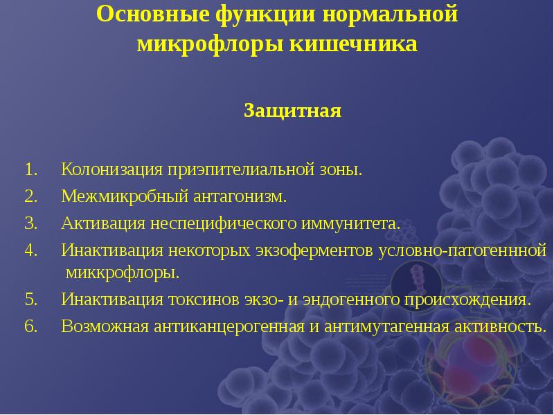 Микробного антагонизма схема