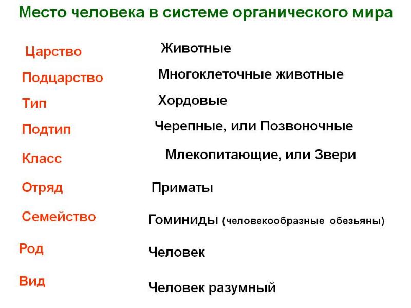 Влияние человека на биосферу презентация 9 класс