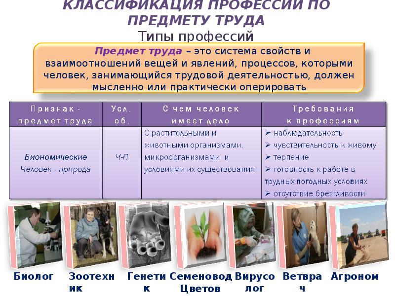 Классификация профессии проект