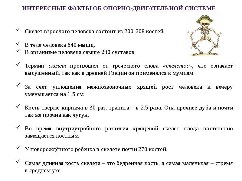 Система факт. Опорно двигательная система интересные факты. Все системы организма человека и их функции. 12 Систем организма человека и их функции. Факты об опорно двигательной системе человека.