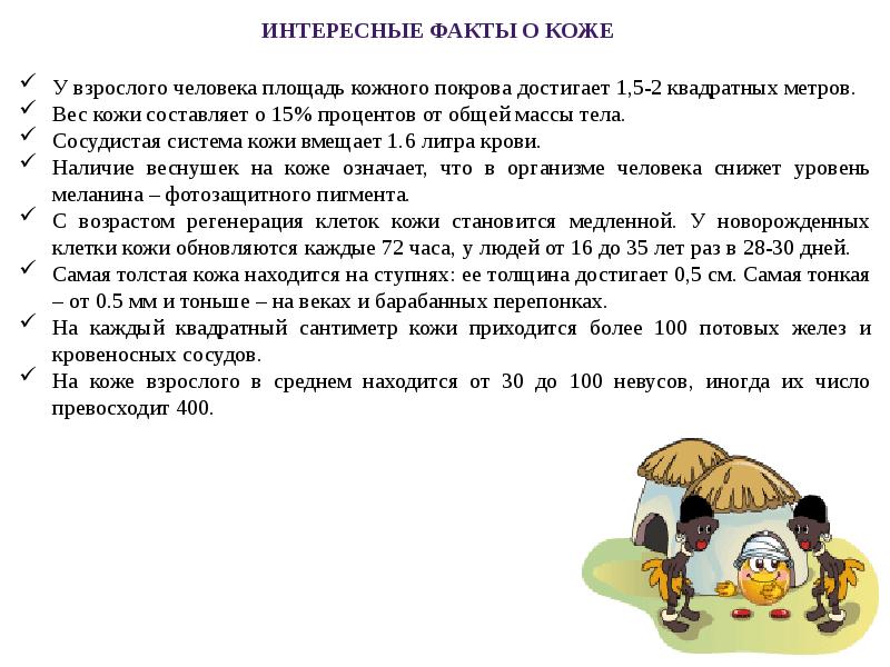 6 интересных фактов. Интересные факты о коже. Факты о коже человека. Интересные факты о человеческой коже. Кожа: самые интересные факты.