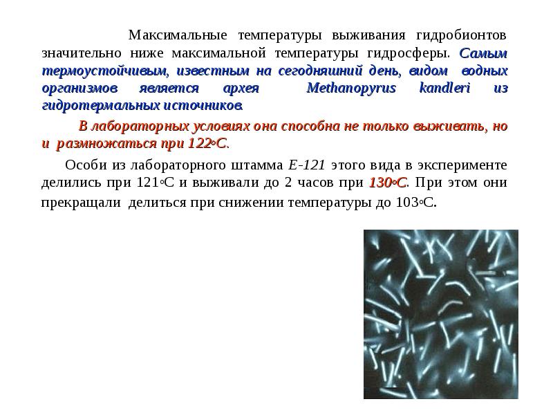 Max температура