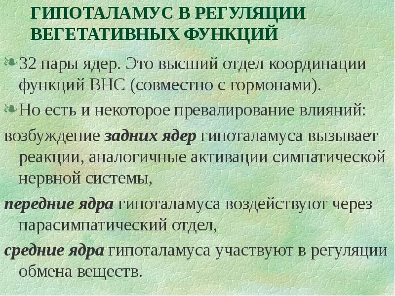 Регуляция вегетативных функций