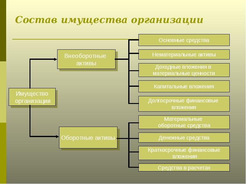 Участник вкладывающий финансовые ресурсы в проект это