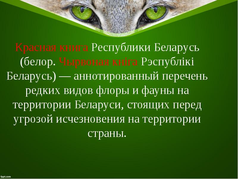 Красная книга республики беларусь картинки для детей