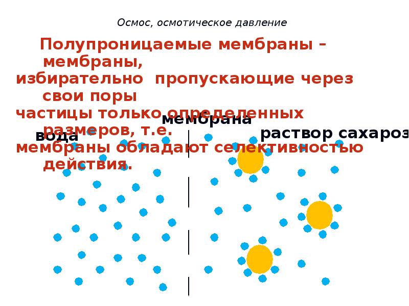 Презентация на тему осмос