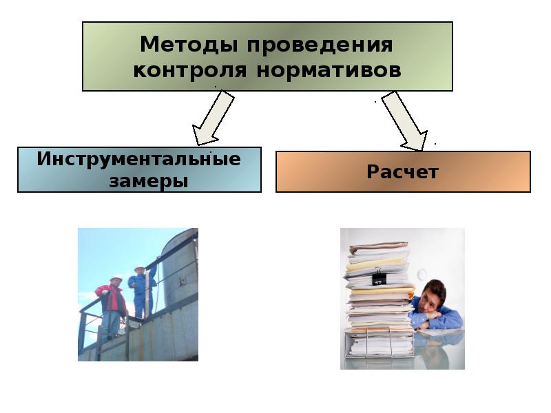 Методы проведения. Методы ведения мониторинга. Инвентаризация проводится методом замеров. Методика проведения инвентаризации животных.