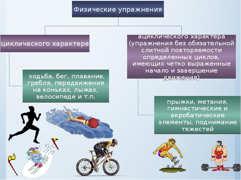 Пути повышения умственной и физической работоспособности презентация