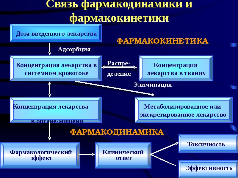 Особенности фармакотерапии в гериатрии презентация