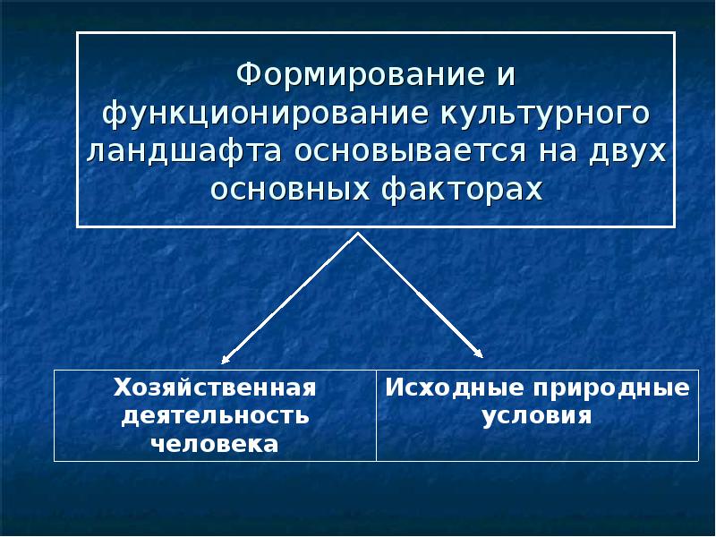 Составьте схему виды культурных ландшафтов