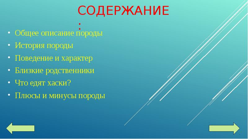 Родные содержание. Плюсы и минусы породы. Борода плюсы и минусы. Авазак плюсы и минусы породы.