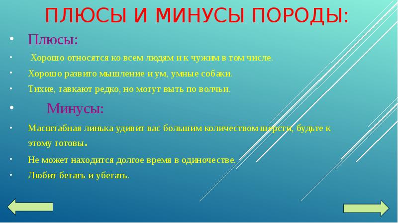 Минусы породы