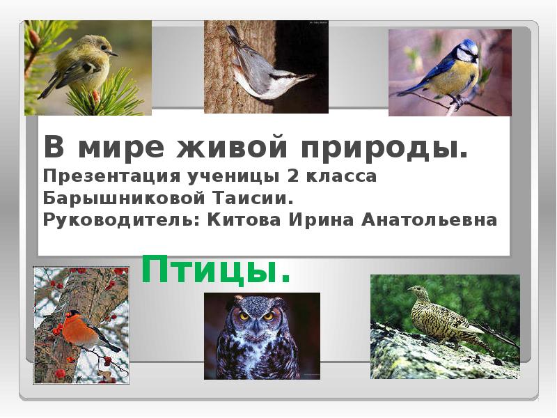 Презентация природа 2 класс