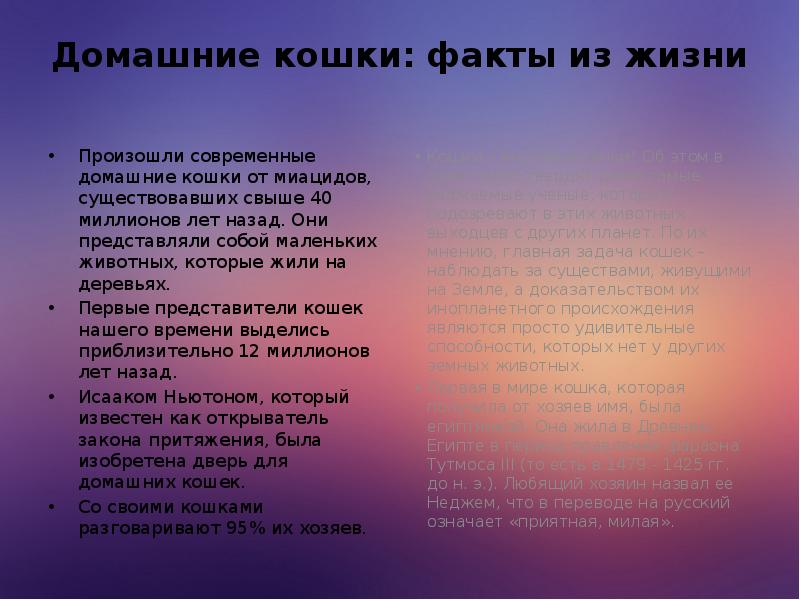 Домашние кошки: факты из жизни  Произошли современные домашние кошки от