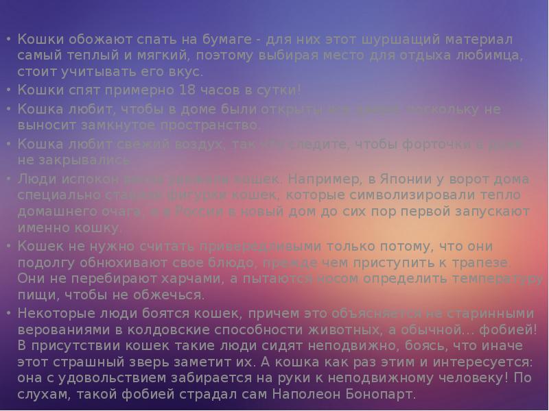 Кошки обожают спать на бумаге - для них этот шуршащий материал