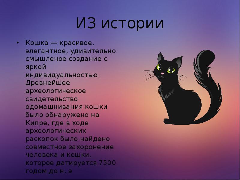 ИЗ истории Кошка — красивое, элегантное, удивительно смышленое создание с яркой