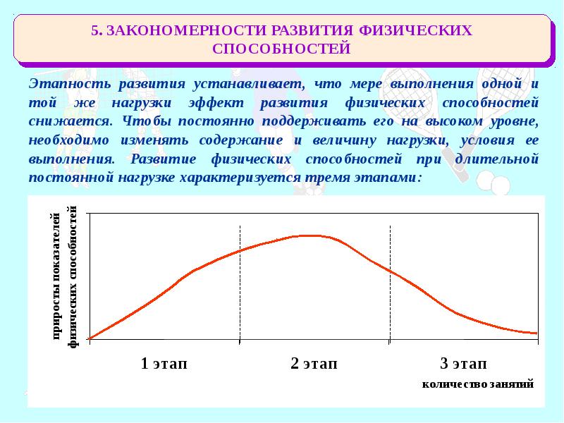 Динамика способностей. Закономерности развития физических способностей. Этапность развития физических способностей. Фазы, этапы развития физических способностей.. Основы методики развития физических способностей человека.