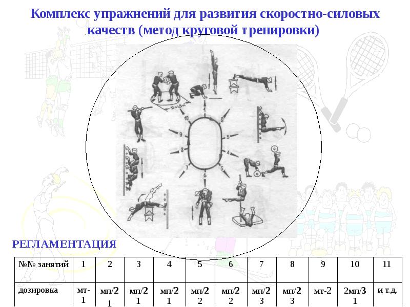 Презентация на тему развитие скоростно силовых качеств