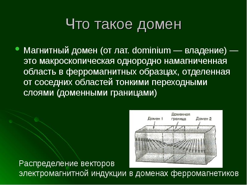 Магнитные дом. Что такое домены в магнитных материалах. Домены физика. Домены это в физике. Домен (магнетизм).