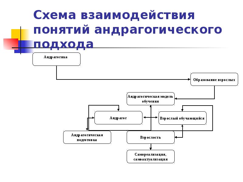 Термин схема. Андрагогическая модель. Особенности андрагогической модели обучения. Модель образования андрагогическая. Схема концепции сотрудничества.